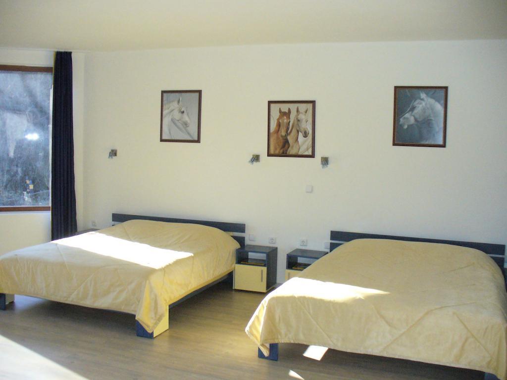 Guest House Alfa Daniel Balkanets  Chambre photo