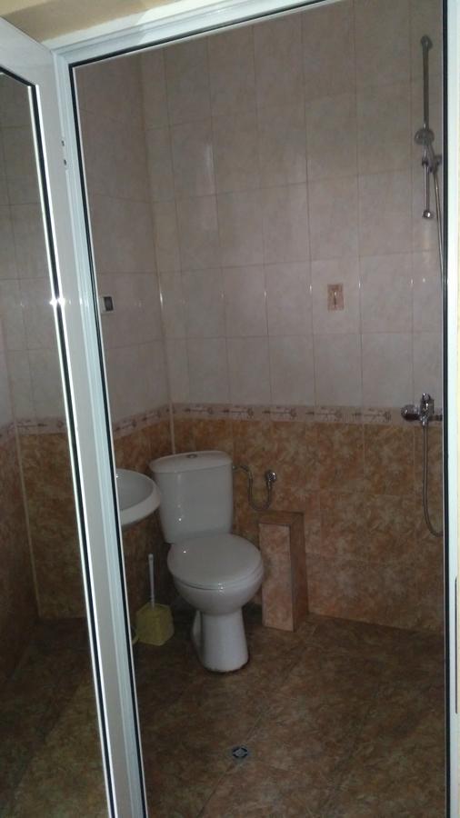 Guest House Alfa Daniel Balkanets  Extérieur photo