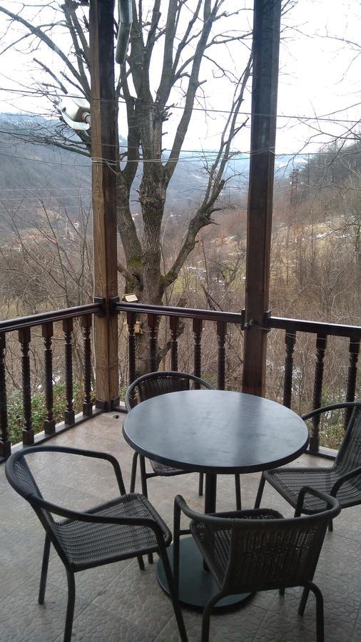 Guest House Alfa Daniel Balkanets  Extérieur photo