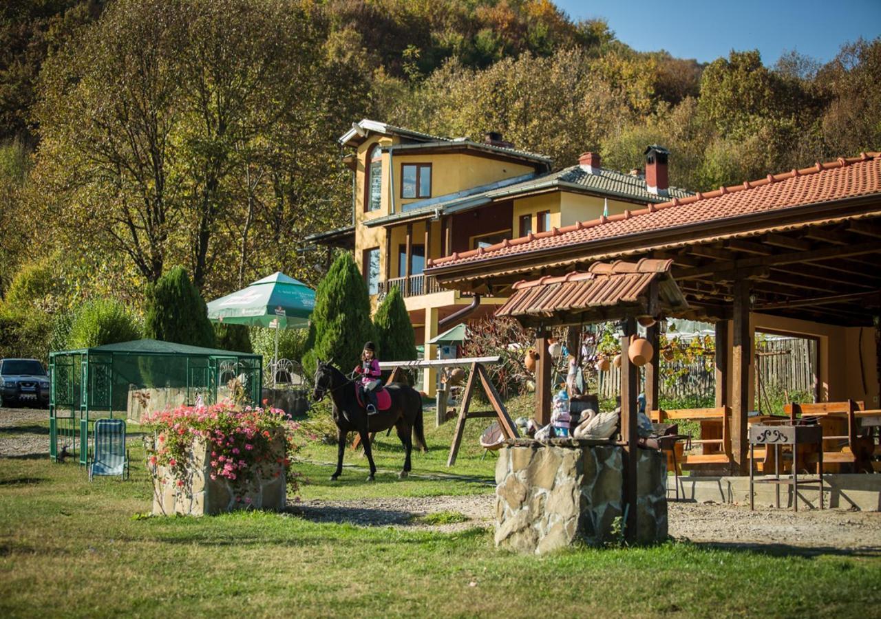 Guest House Alfa Daniel Balkanets  Extérieur photo